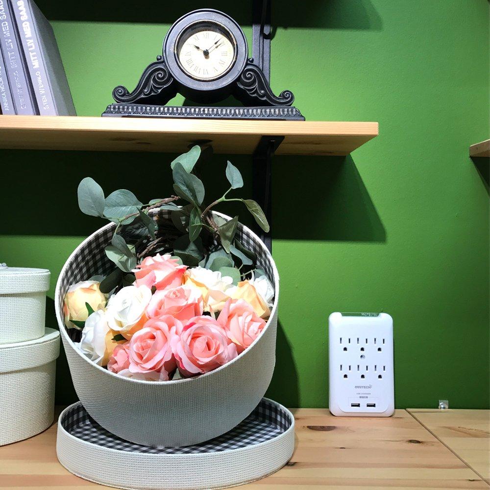 Multi-Function Wall Mount Adapter 6 AC